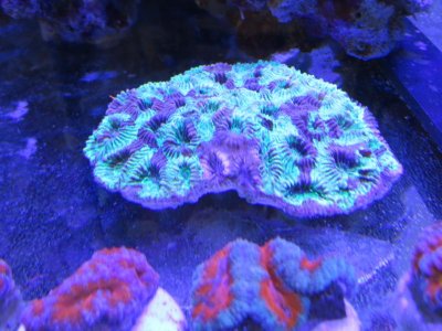 IMG_1074.jpg