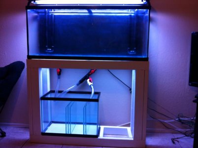 photo-5.jpg
