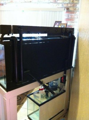 photo-6.jpg