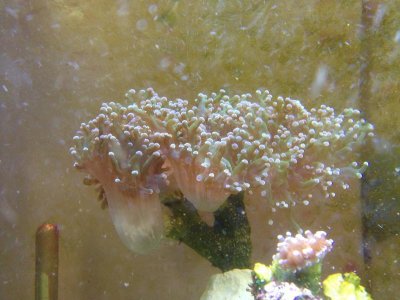 IMG_2920.jpg