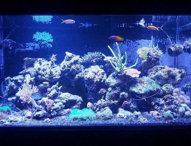FTS 1.3.13.a.JPG