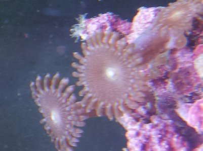 20130129_204803.jpg