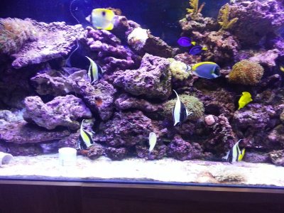 2013-01-29 21.36.56.jpg