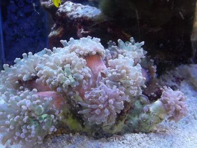 2013-01-04 09.42.26.jpg