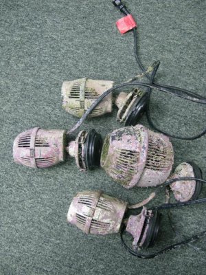 aquarium stuff 005.jpg