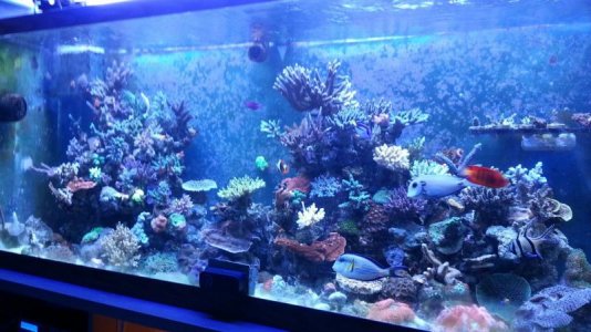 120g.jpg