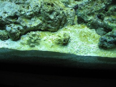 IMG_2101.jpg