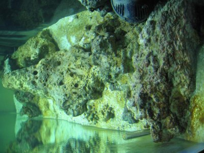 IMG_2104.jpg
