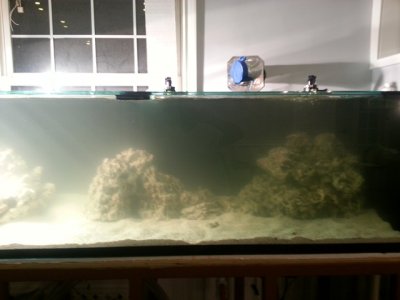 2013-01-31 21.59.43.jpg