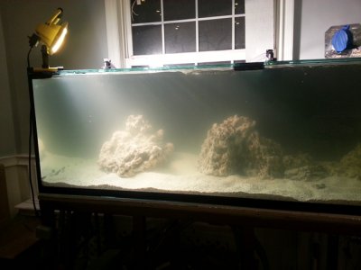2013-01-31 21.59.46.jpg