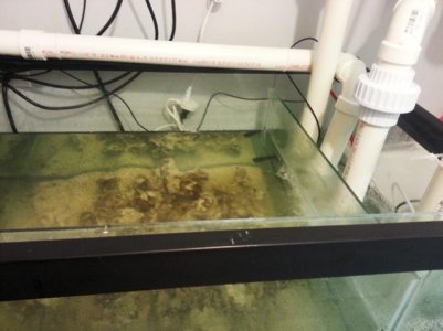 2013-01-31 21.26.05.jpg