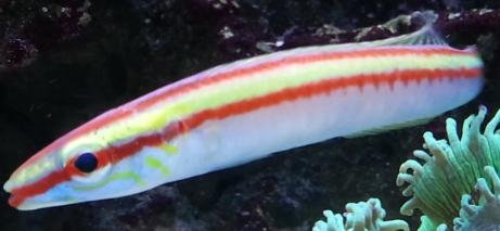 2013-02-01 21.42.36.jpg