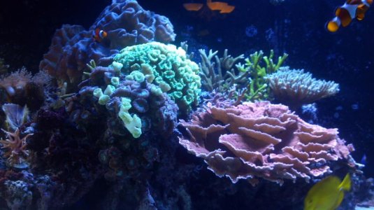 2013-01-13_20-57-23_20.jpg