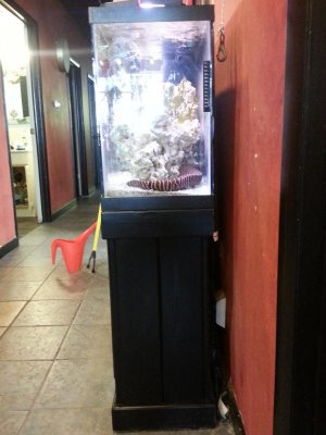 2013-01-07 12.44.35.jpg