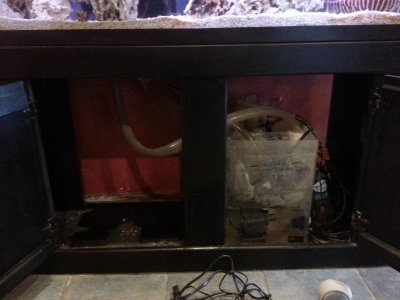 2013-01-07 12.48.44.jpg