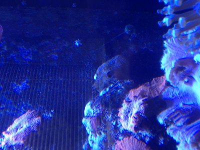 photo.jpg