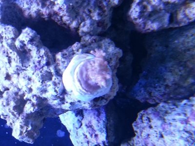 20130128_111112.jpg