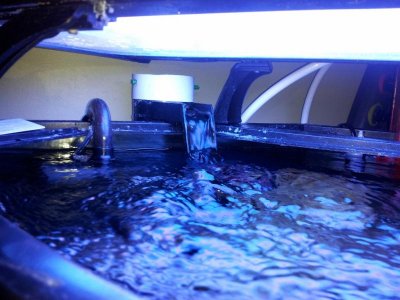 20130109_184934 (1024x768).jpg