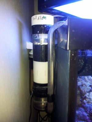 GFO Full View (2).jpg