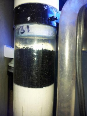 Media Tumble (2) (600x800).jpg