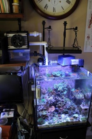 solana radion ATS.jpg