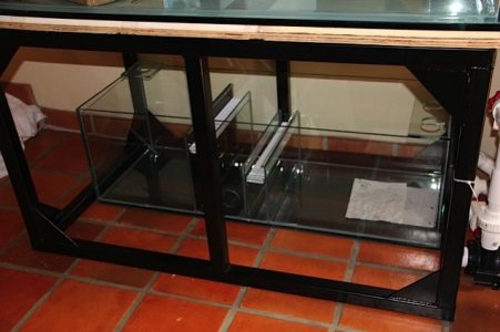 IMG_4716.jpg