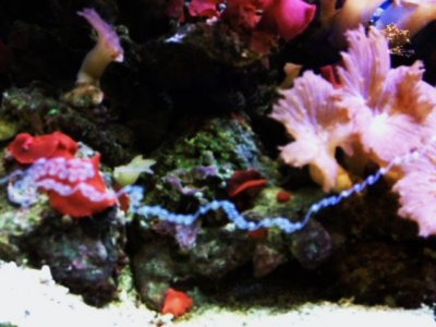 zig zag on glass 1.JPG