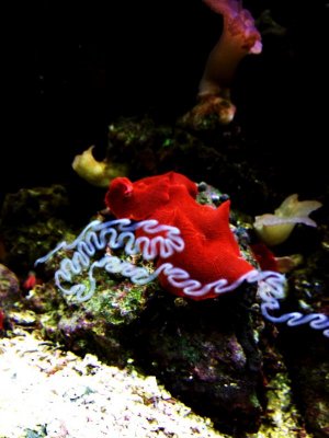 tracks on glass 2.jpg