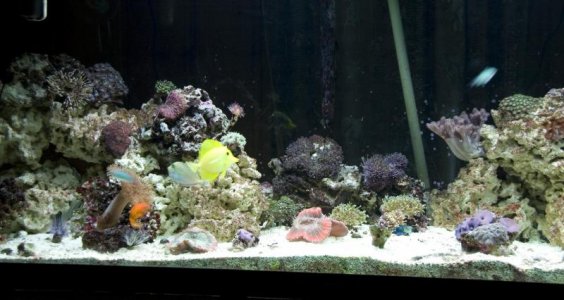 2 months.jpg 2 months.jpg