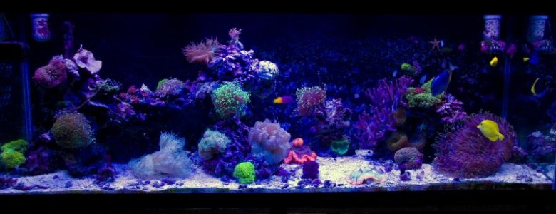 1 year 6 months.jpg 1 year 6 months.jpg