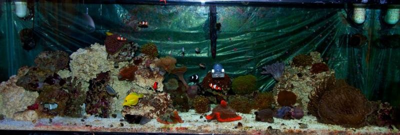 month 6.jpg month 6.jpg