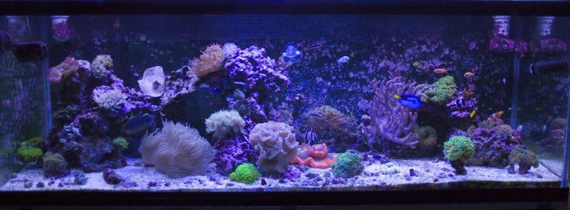 feb5th2013small.jpg feb5th2013small.jpg