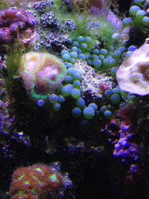 2013-02-05 16.59.12.jpg