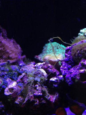 2013-02-05 16.58.48.jpg