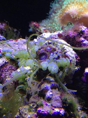 2013-02-05 16.59.17.jpg