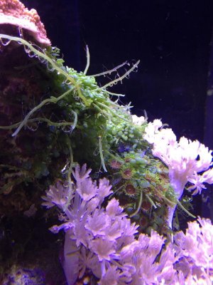 2013-02-05 16.59.29.jpg