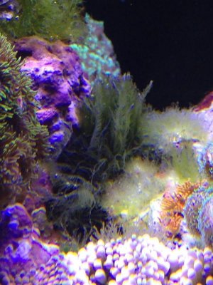 2013-02-05 16.59.42.jpg