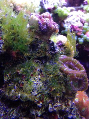 2013-02-05 17.00.25.jpg