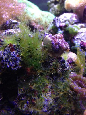 2013-02-05 17.00.28.jpg