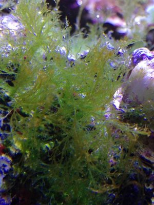 2013-02-05 17.00.35.jpg