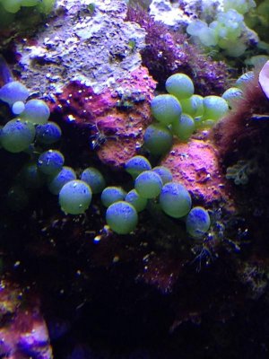 2013-02-05 17.00.41.jpg