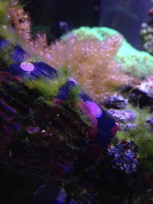 2013-02-05 17.00.58.jpg