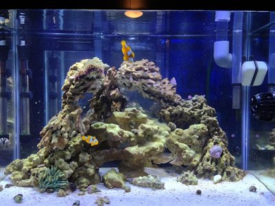 aquarium.jpg