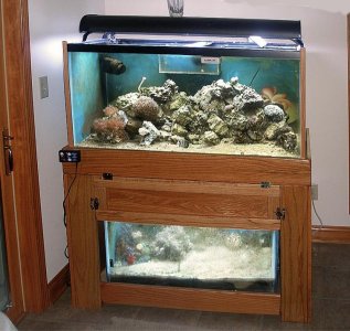 TankSmall.jpg