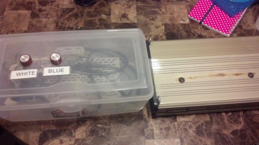 2013-02-03_22-19-27_496.jpg