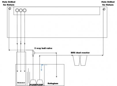 Plumbing Reef V2.jpg