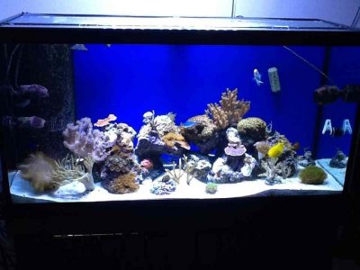 ImageUploadedByTapatalk HD1360282515.818087.jpg