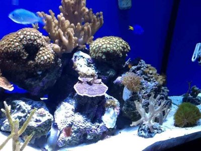 ImageUploadedByTapatalk HD1360282548.670396.jpg