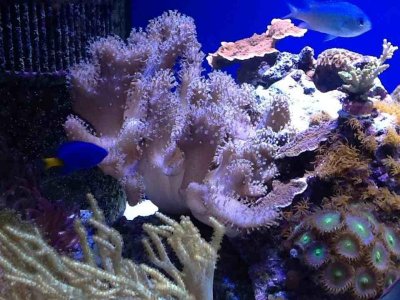 ImageUploadedByTapatalk HD1360282561.945846.jpg