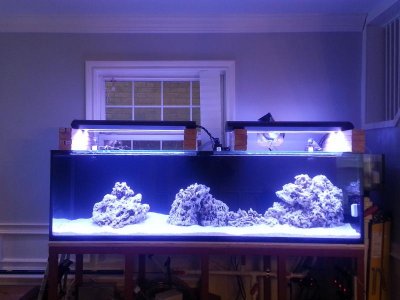 2013-02-08 11.01.21.jpg